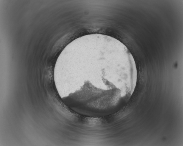 X0000115590085200912081100