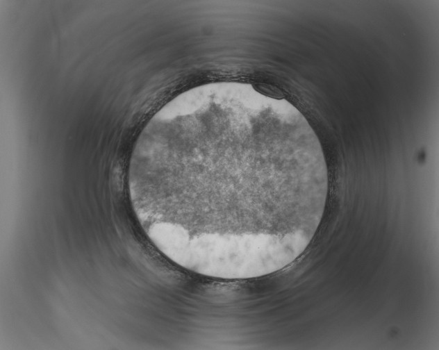 X0000115590086200912081100