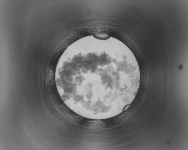 X0000115590087200912081100