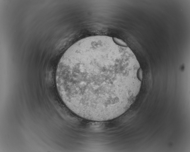 X0000115590088200912081100
