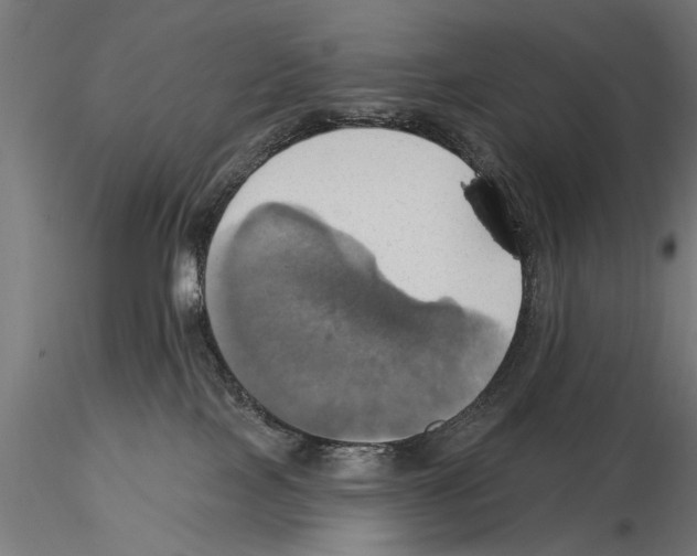 X0000115590089200912081100