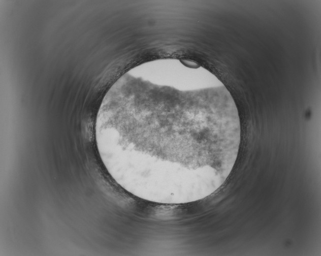 X0000115590090200912081100