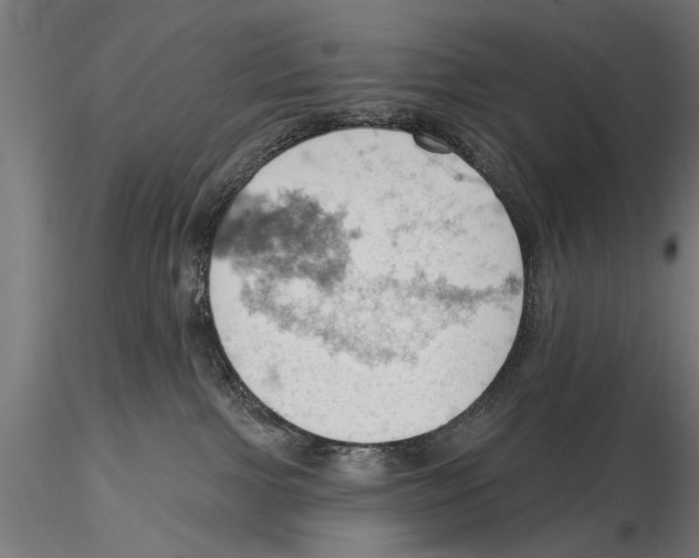 X0000115590091200912081100