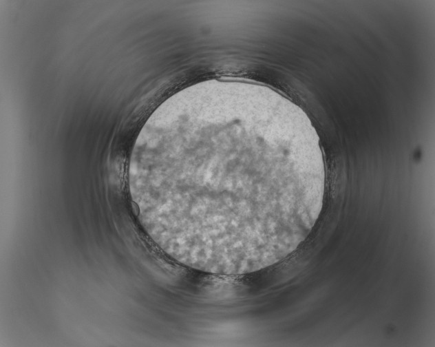 X0000115590093200912081100