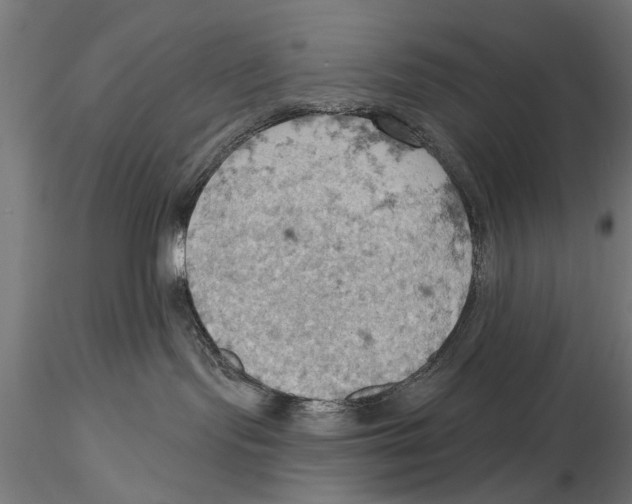 X0000115590095200912081100
