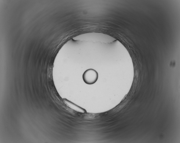 X0000115590096200912081100