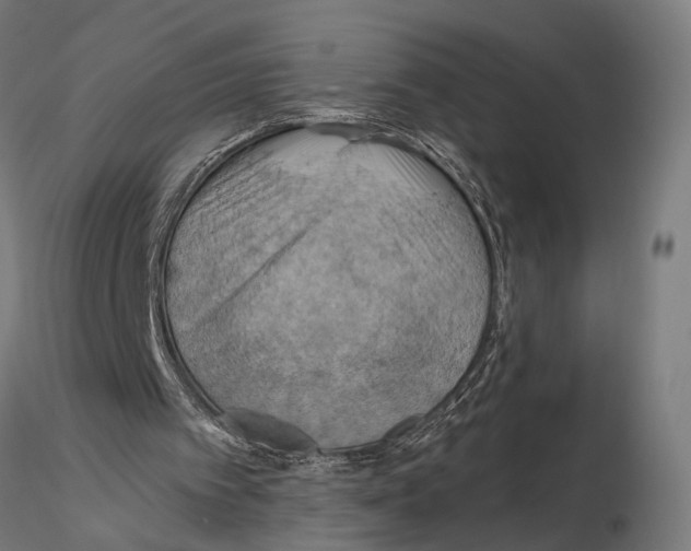 X0000115590097200912081059