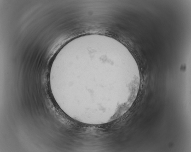 X0000115590098200912081059