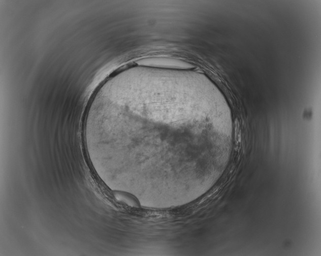 X0000115590099200912081059
