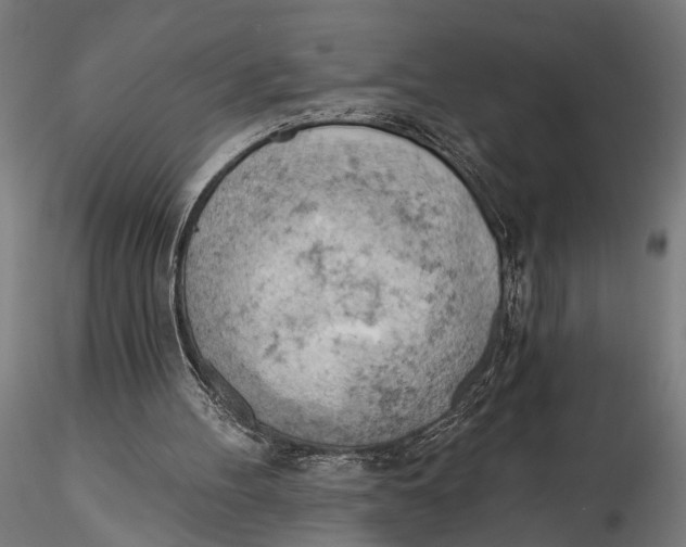 X0000115590100200912081059