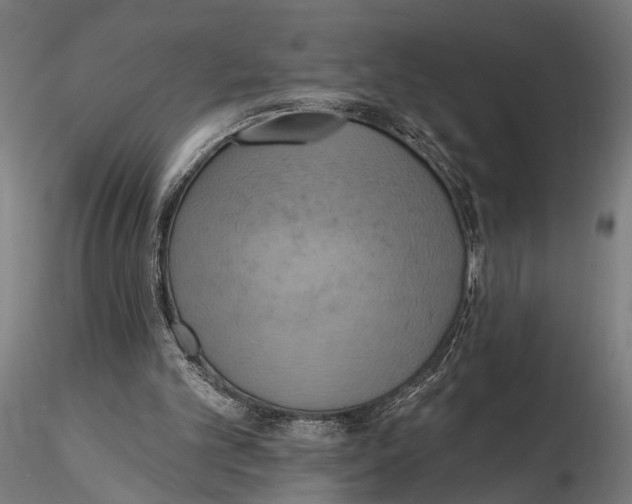 X0000115590101200912081059