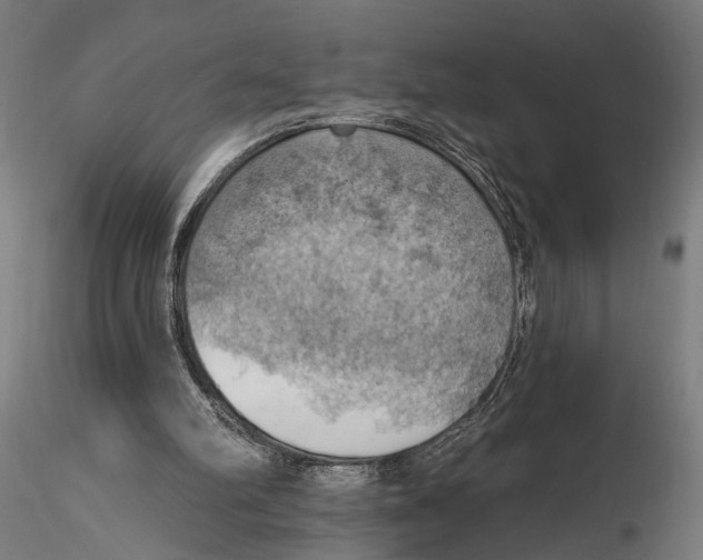X0000115590102200912081059