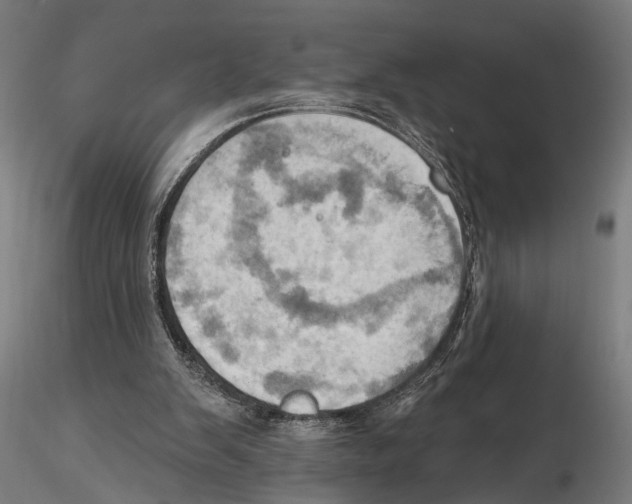 X0000115590103200912081059