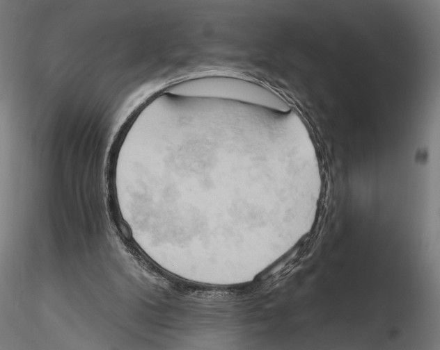 X0000115590104200912081059