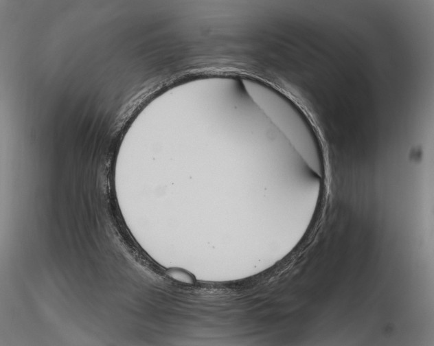 X0000115590105200912081059