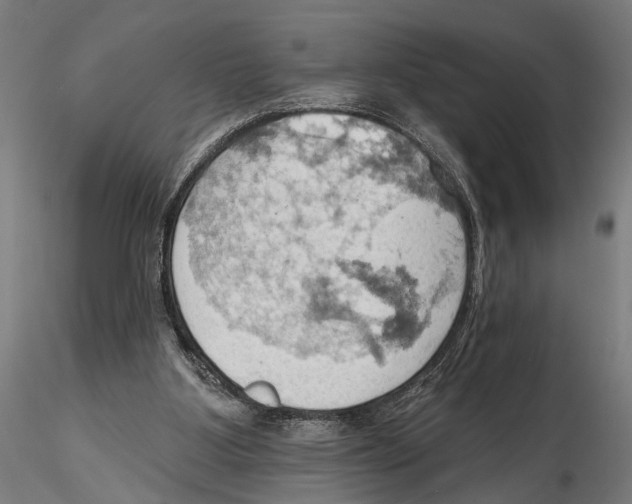 X0000115590107200912081059