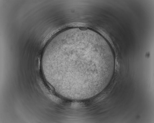 X0000115590109200912081059