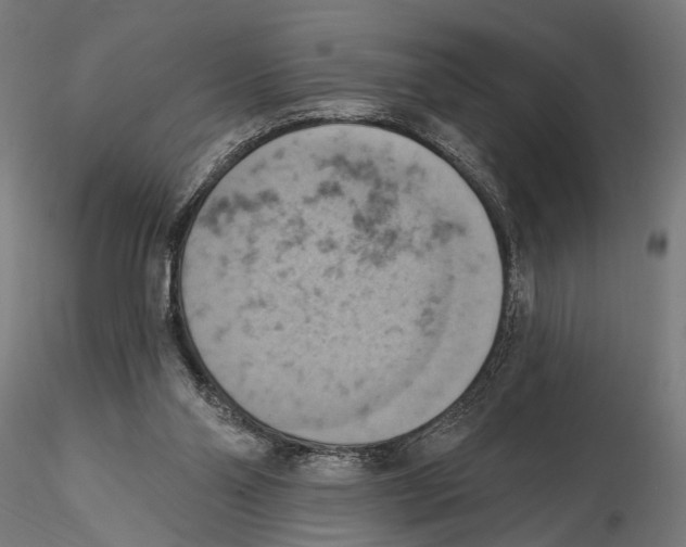 X0000115590110200912081059