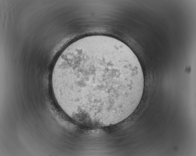 X0000115590112200912081059
