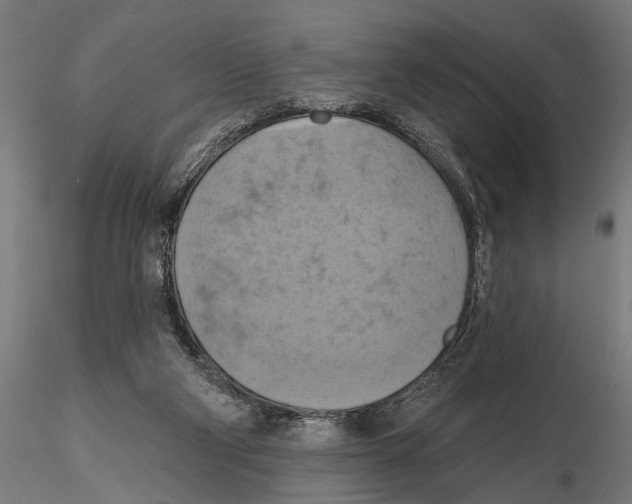 X0000115590114200912081059