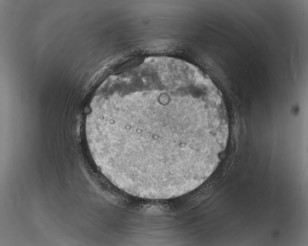 X0000115590115200912081059