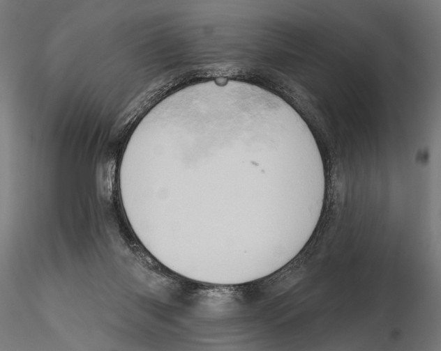 X0000115590118200912081059