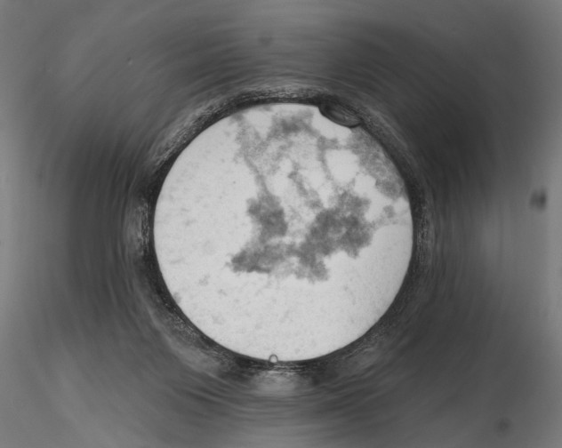 X0000115590119200912081059