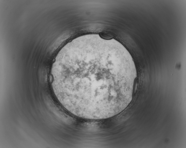 X0000115590120200912081059
