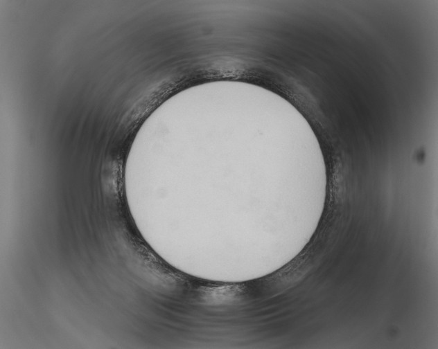 X0000115590122200912081059