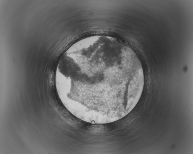 X0000115590123200912081059