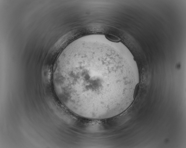 X0000115590124200912081059