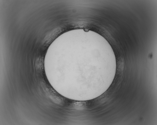 X0000115590126200912081059