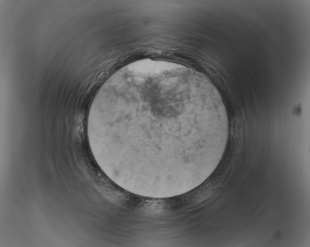 X0000115590127200912081059