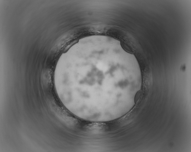 X0000115590128200912081059
