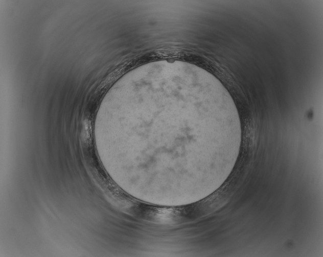 X0000115590130200912081059
