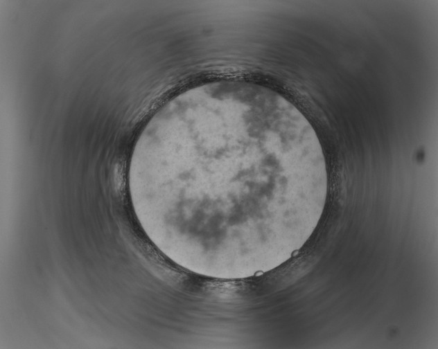 X0000115590131200912081059
