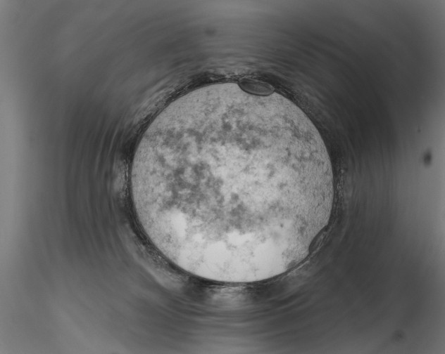 X0000115590132200912081059