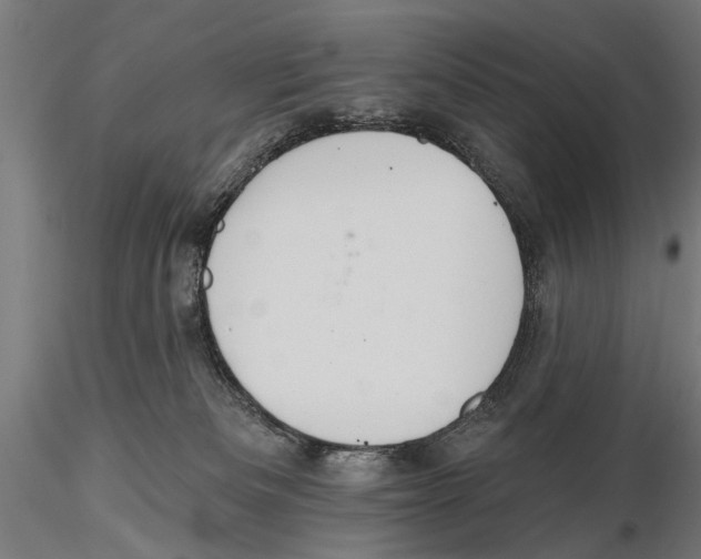 X0000115590133200912081058