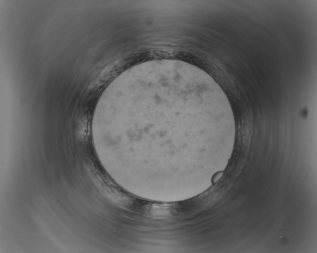 X0000115590134200912081058