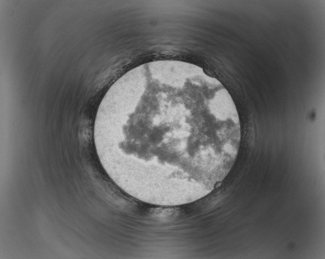 X0000115590135200912081058