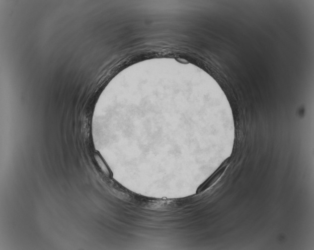 X0000115590136200912081058