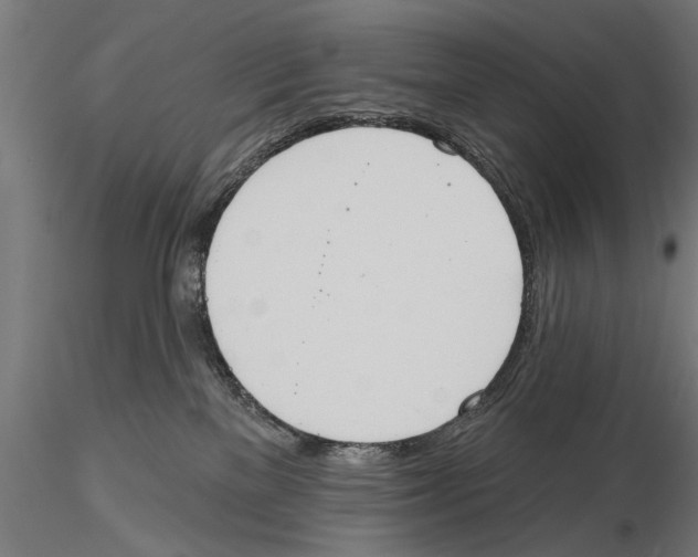 X0000115590137200912081058