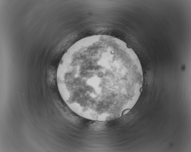 X0000115590138200912081058
