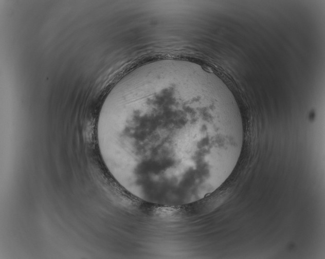 X0000115590139200912081058