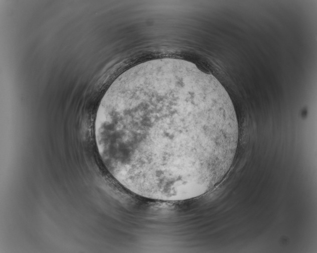 X0000115590140200912081058