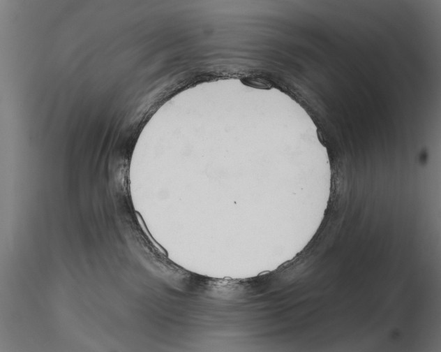 X0000115590141200912081058