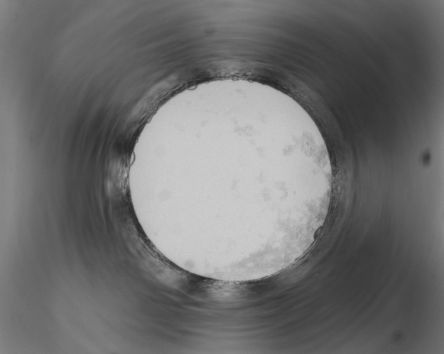 X0000115590142200912081058