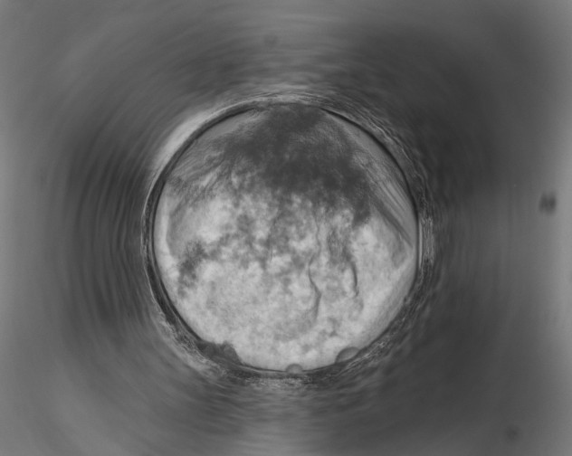 X0000115590147200912081057