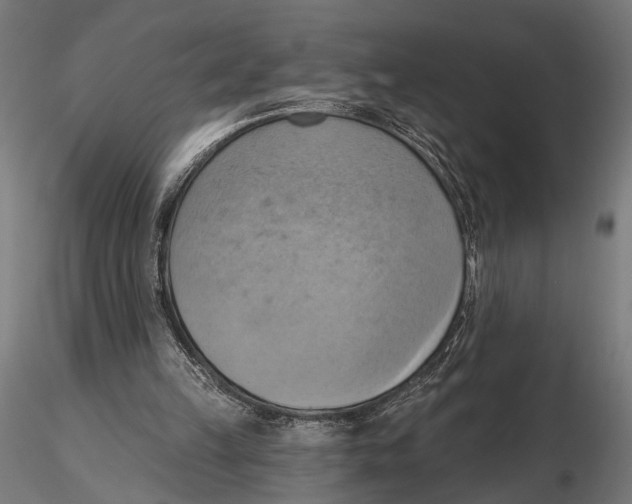 X0000115590149200912081057