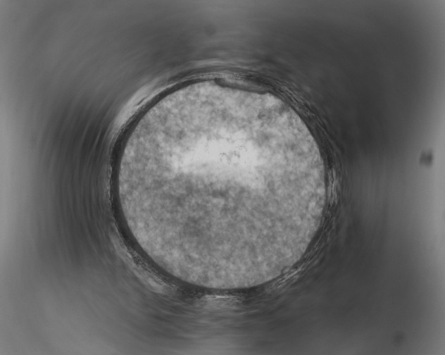 X0000115590150200912081057